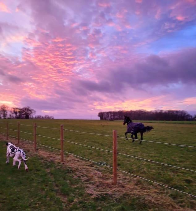 Gite Au Haras D'Agathe Et Ses Princes Les Barils Exterior foto