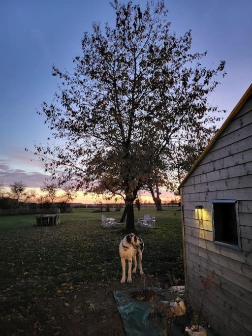 Gite Au Haras D'Agathe Et Ses Princes Les Barils Exterior foto